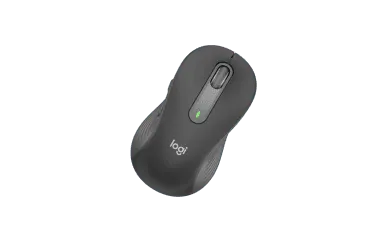 Souris seule